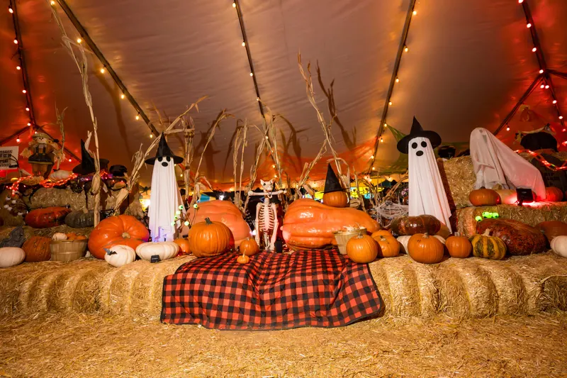 Sheet ghosts in witch hats among pumpkins and hay bales under the orange-lit tent