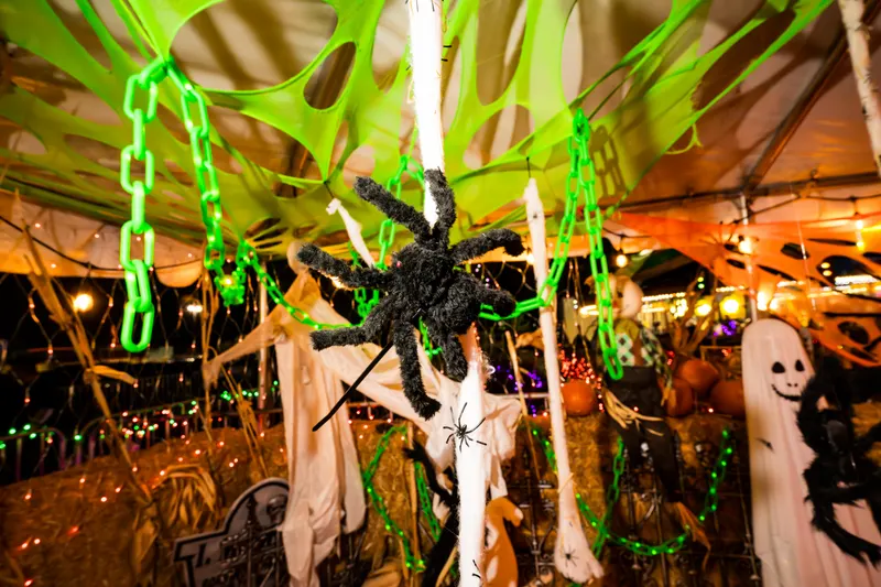 Green chain lights and a fuzzy black spider hung from the tent ceiling