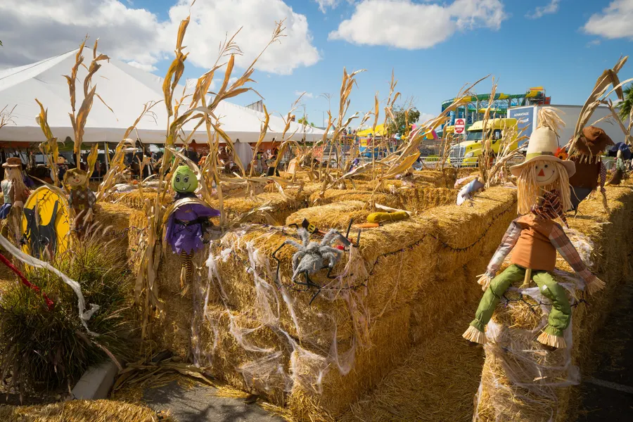 A scarecrow perched on the hay-maze wall with corn stalks around it
