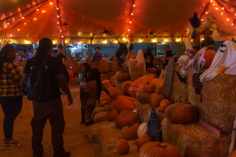 Families browsing pumpkins on hay bales under a tent strung with orange lights